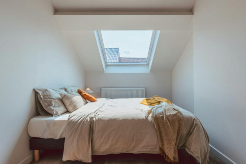 Rue du Cadran, Saint-Josse-ten-Noode  - Gallery -  5