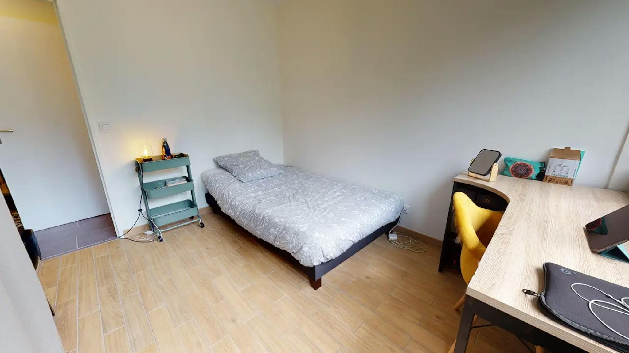 Private Room - Rue du Petit Revoyet, Oullins-Pierre-Bénite - Gallery - 1
