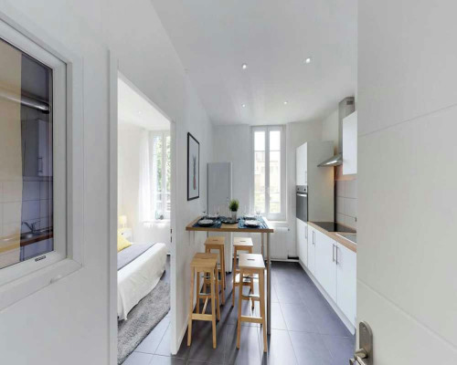 Rue Maurice Flandin, Lyon  - Gallery -  5
