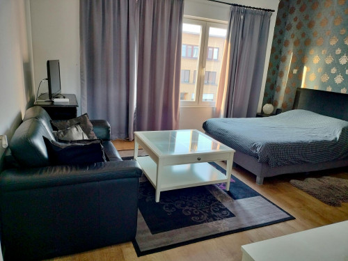 Laarsebaan, Antwerpen