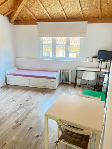 Very cosy studio in Montarroio