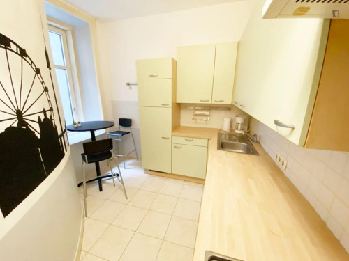 Cozy double bedroom near the Neubaugasse subway station