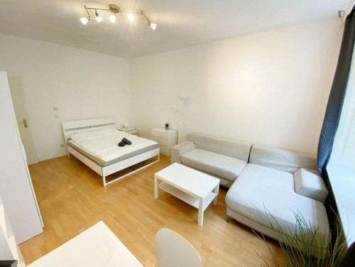 Bright double bedroom near the Neubaugasse subway station