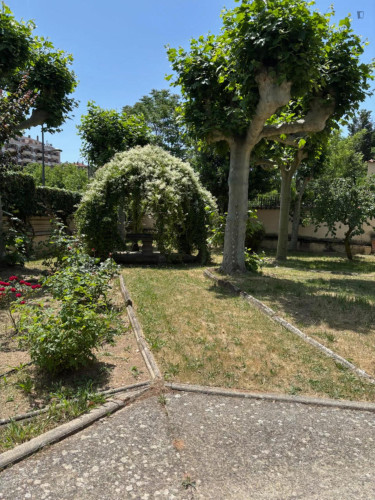 Welcoming single bedroom near Facultad de Psicología - Gallery - 9