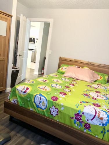 Room to let in Trendy Mission Calga - Gallery - 10