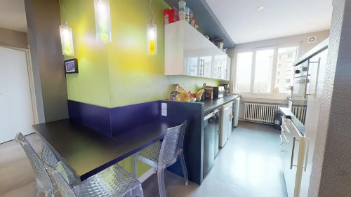 Rue Garibaldi, Lyon  - Gallery -  5