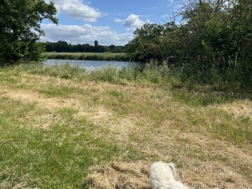Thames Marina Double room