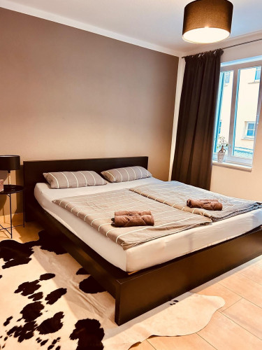 Temporary Living – Fully Furnished 2-Room Apartment Winter Garden Bautzen Old Town - Gallery - 16