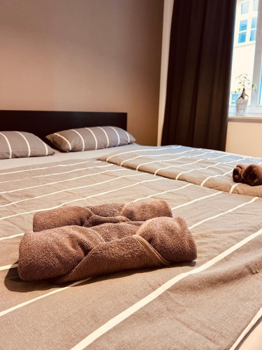 Temporary Living – Fully Furnished 2-Room Apartment Winter Garden Bautzen Old Town - Gallery - 14