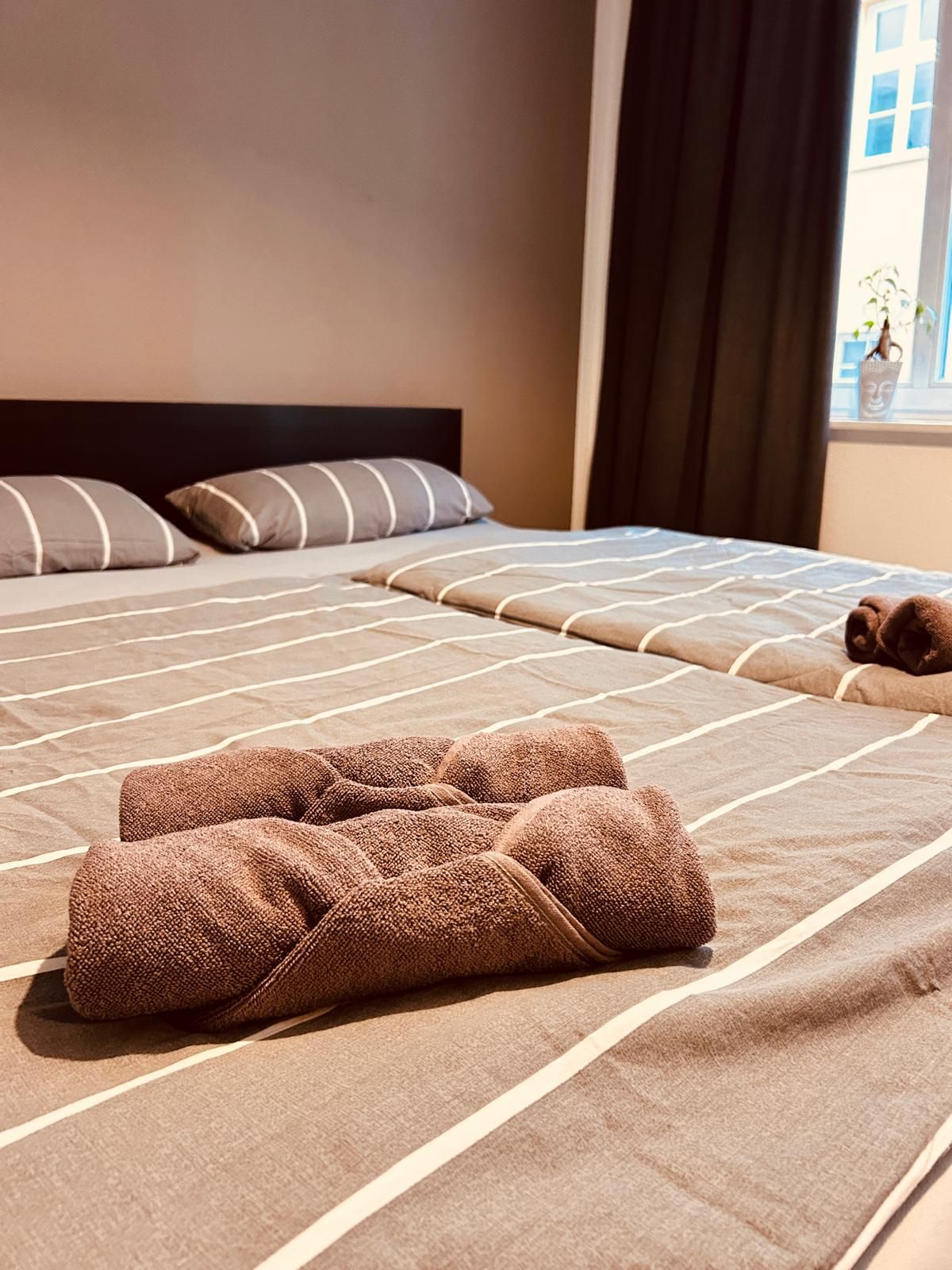  Temporary Living – Fully Furnished 2-Room Apartment Winter Garden Bautzen Old Town  -  Temporary Living – Fully Furnished 2-Room Apartment Winter Garden Bautzen Old Town  - Gallery -  13