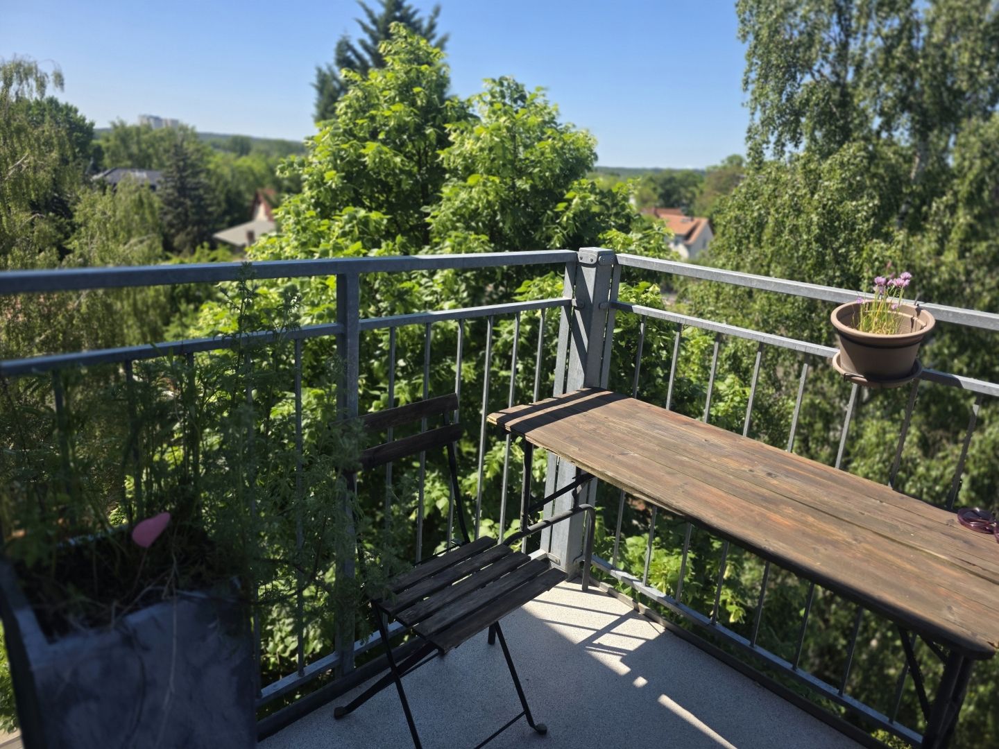  Bright Period Apartment In Babelsberg – Design Classic, 2 Balconies  -  Bright Period Apartment in Babelsberg – Design Classic, 2 Balconies  - Gallery -  13
