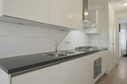 Lange Leidsedwarsstraat, Amsterdam  - Gallery -  5
