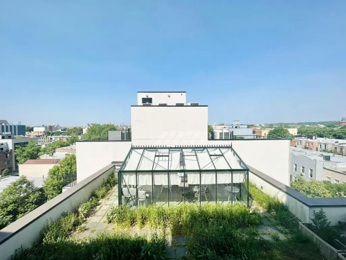 Madison St, Brooklyn, NY - Gallery - 8