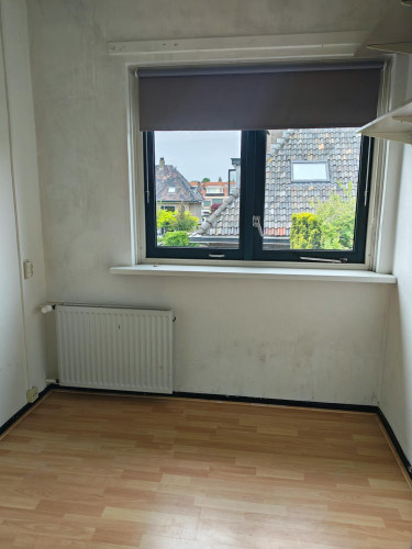 Burggravenlaan, Leiden