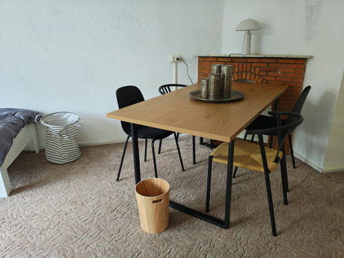Burggravenlaan, Leiden - Gallery - 6