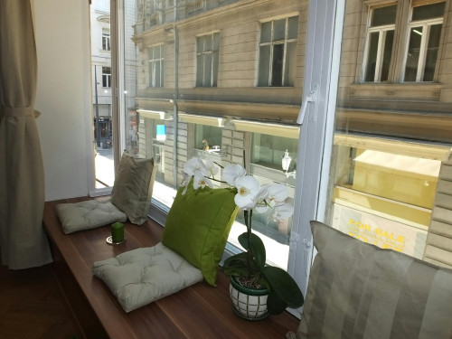 Párizsi utca, Budapest