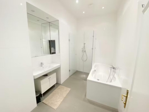 Bright double bedroom near the Medical University of Vienna