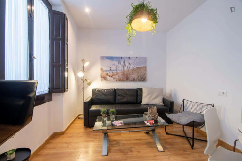 Apartment in Calle Frailes, Granada with 3 bedrooms