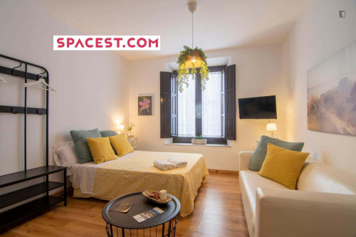 Apartment in Calle Frailes, Granada