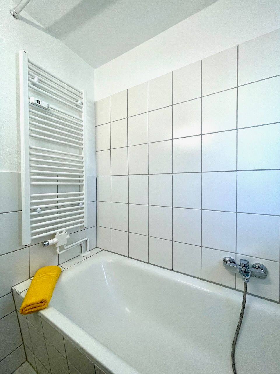 ApartmentLug40 – Newly Renovated, Quiet Location, Excellent Transport ! - 4