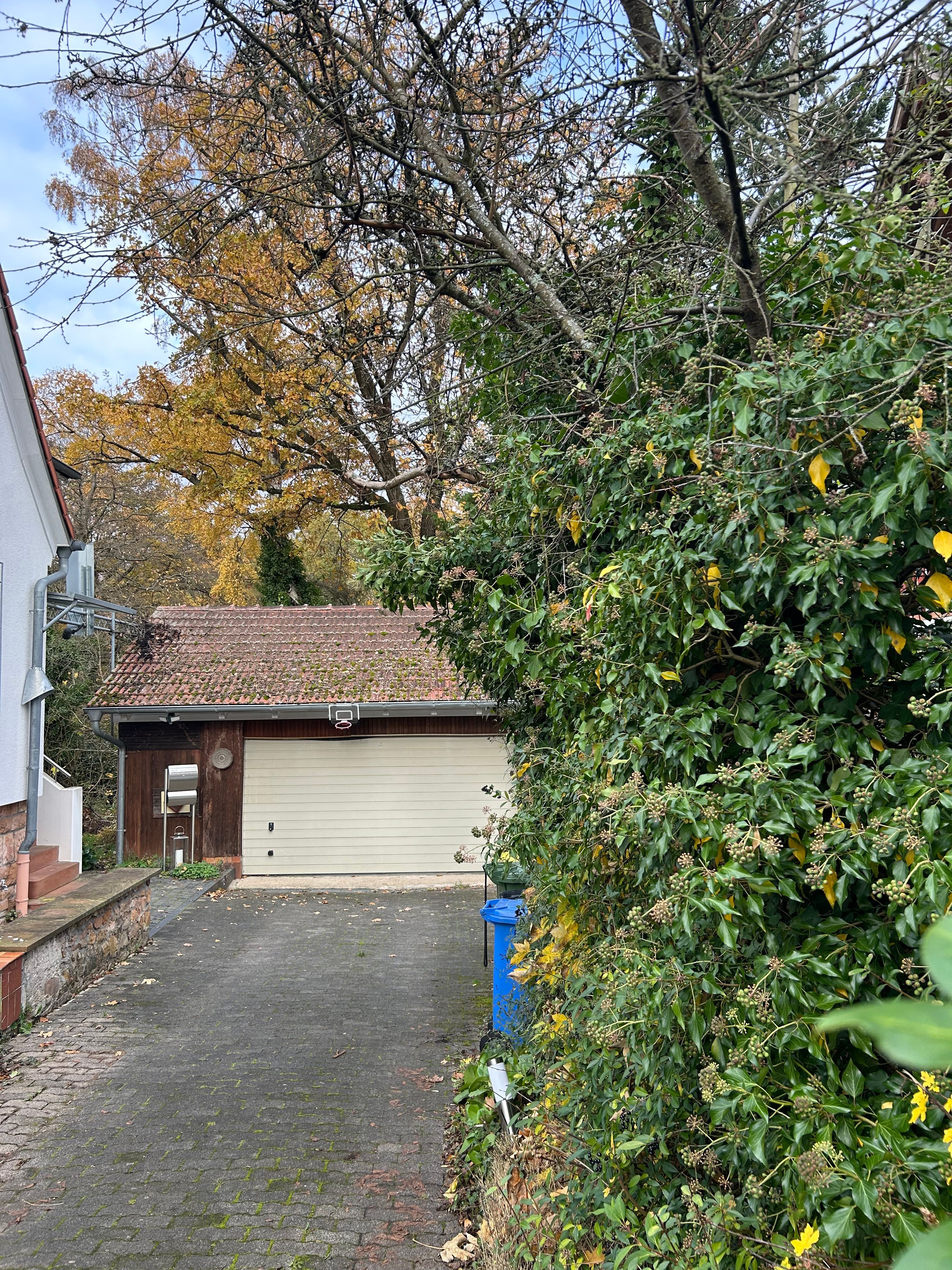 Furnished House For Temporary Rent With Garden – Near UKGM & Marburg Old Town Beautiful Suite Near P - 12