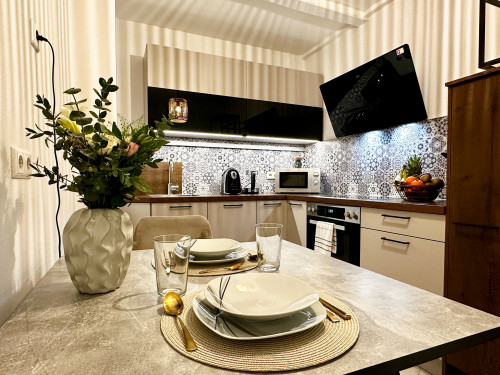 Modern Apartment in Prime Stuttgart Mitte/West Location