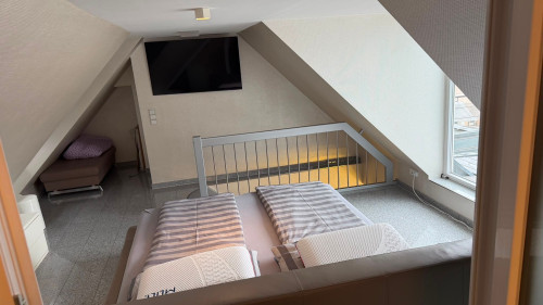 Stunning and modern suite (Freiburg im Breisgau) - Gallery - 10