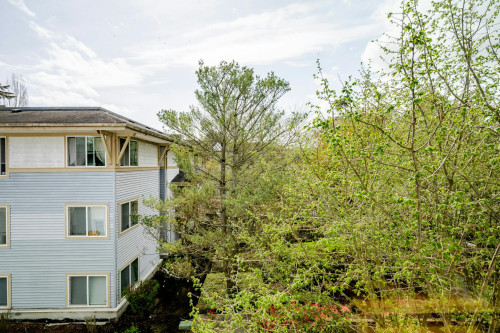 21st Avenue Northeast, Seattle, WA - Gallery - 5