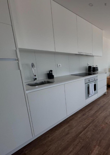 Luminous 1 Bedroom Apartment close to University of Coimbra