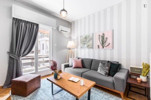 Charming 1-bedroom flat in Ilisia  - Gallery -  5