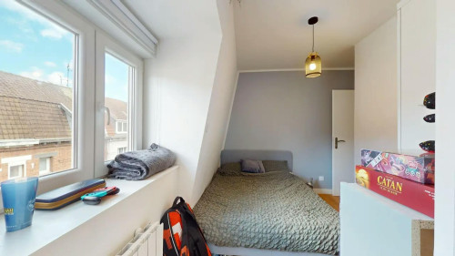 Rue Roger Salengro, Mons-en-Barœul  - Gallery -  5