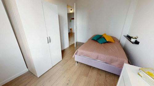 Cours Émile-Zola, Villeurbanne