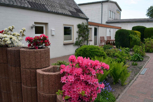 Gorgeous, cozy apartment located in Eckernförde - Gallery - 19