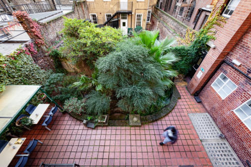 Louise House - Gallery - 13