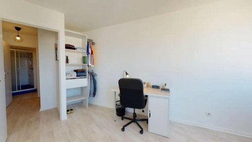 Cours Émile-Zola, Villeurbanne
