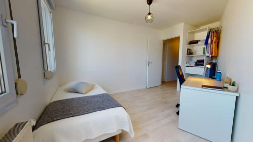 Cours Émile-Zola, Villeurbanne