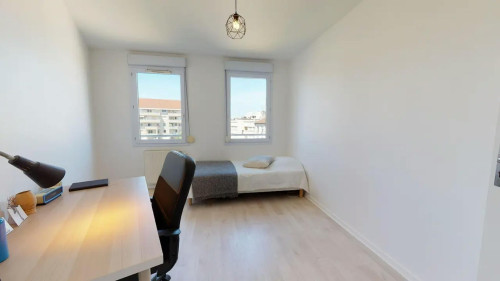 Cours Émile-Zola, Villeurbanne