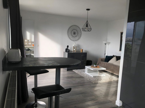 Spacious apartment with balcony