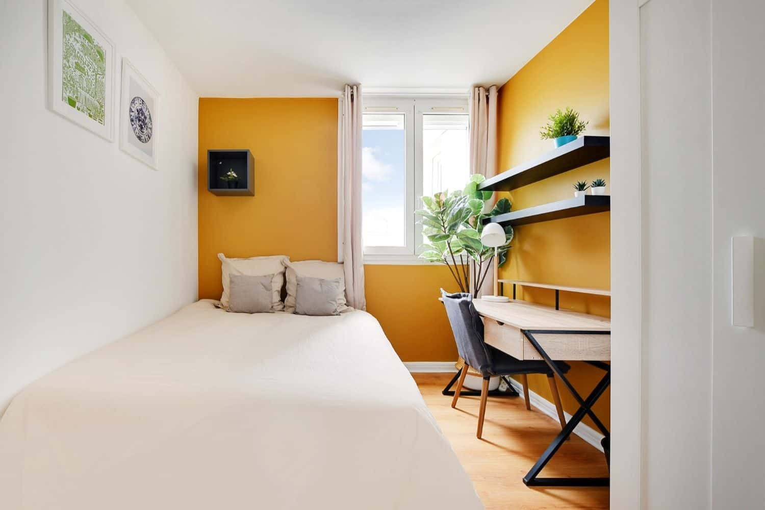 Single Room - 1