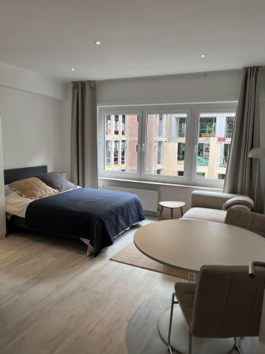 Rue Montoyer, Brussels  - Gallery -  5