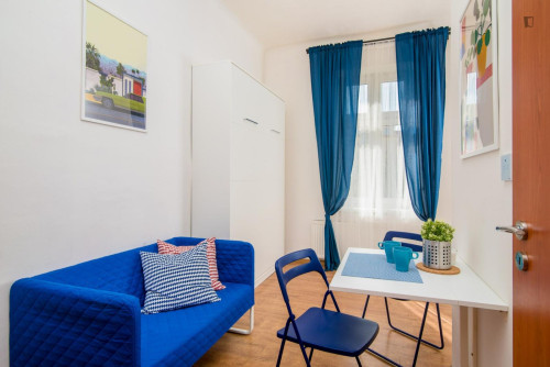 Comfy studio close to Kutlvašra park
