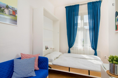 Comfy studio close to Kutlvašra park