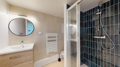 Snug single ensuite bedroom in the 15th arrondissement  - Gallery -  5