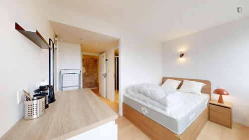 Luminous single ensuite bedroom in 15th arrondissement