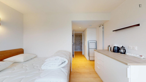 Bright single ensuite bedroom in 15th arrondissement