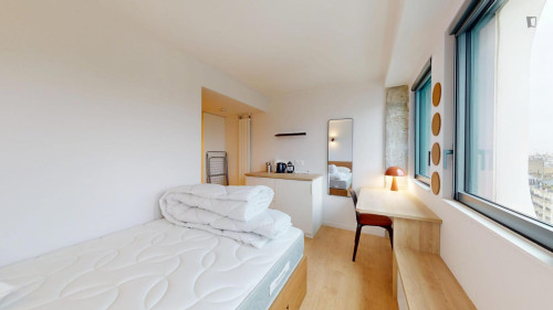 Bright single ensuite bedroom in 15th arrondissement