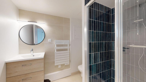 Bright single ensuite bedroom in 15th arrondissement  - Gallery -  5