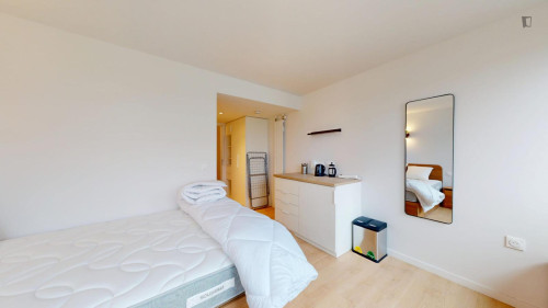 Neat and cosy single ensuite bedroom in 15th arrondissement