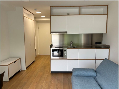 Exclusive Executive Studio at Flaucher - Gallery - 9