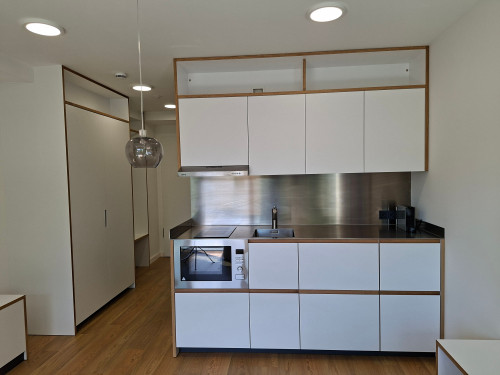 Exclusive Executive Studio at Flaucher